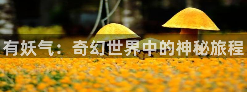 夏天的最后一天樱花动漫