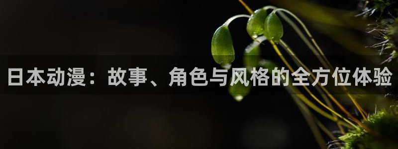 樱花动漫专注动漫免费