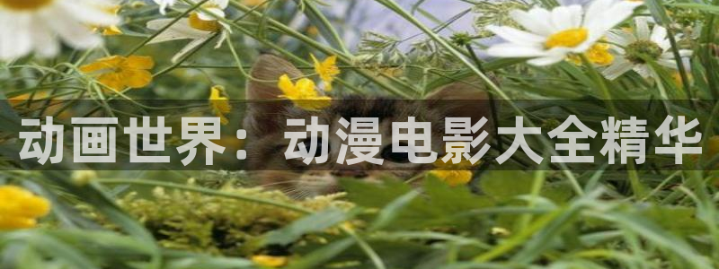 樱花动漫网在线官网