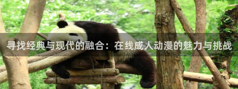 樱花动漫汪汪队