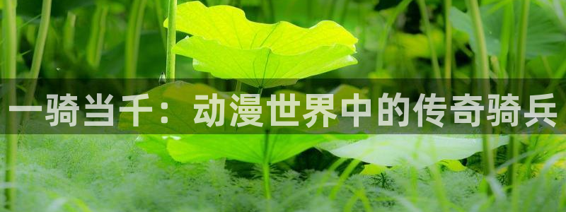 樱花动漫武庚纪